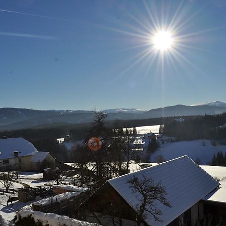 Appartamento Haashof Vordergoriach Esterno foto